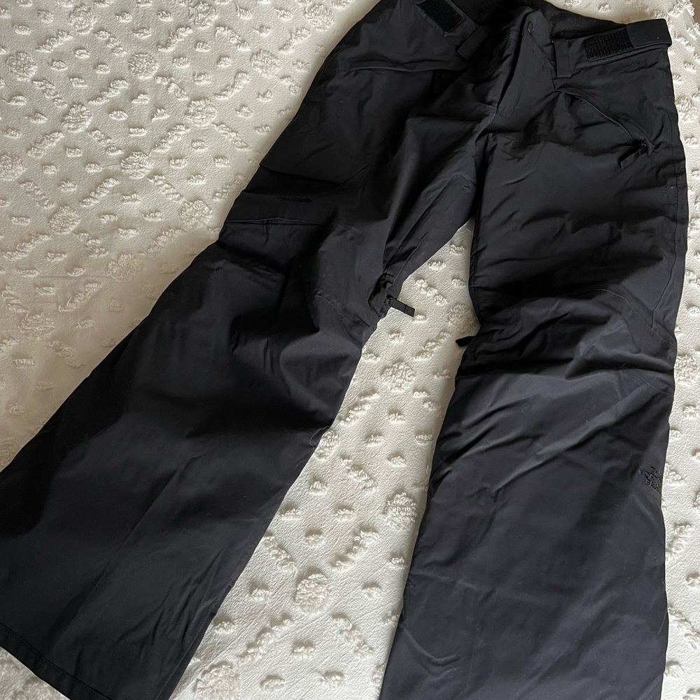 The north face ski pant
